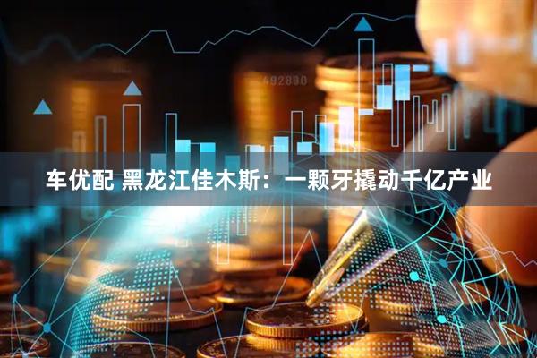 车优配 黑龙江佳木斯：一颗牙撬动千亿产业